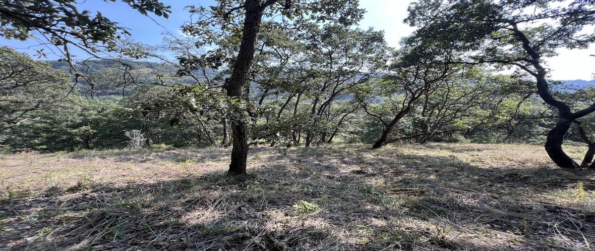 Foto de terreno habitacional en venta en la malagueña , villa del carbón, villa del carbón, méxico, 27747640 No. 04