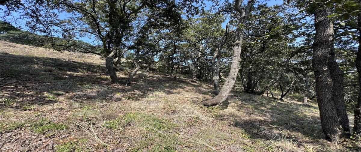 Foto de terreno habitacional en venta en la malagueña , villa del carbón, villa del carbón, méxico, 27747640 No. 05