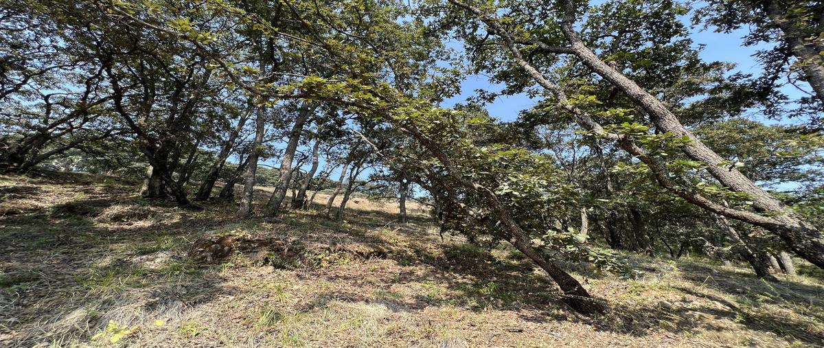 Foto de terreno habitacional en venta en la malagueña , villa del carbón, villa del carbón, méxico, 27747642 No. 03