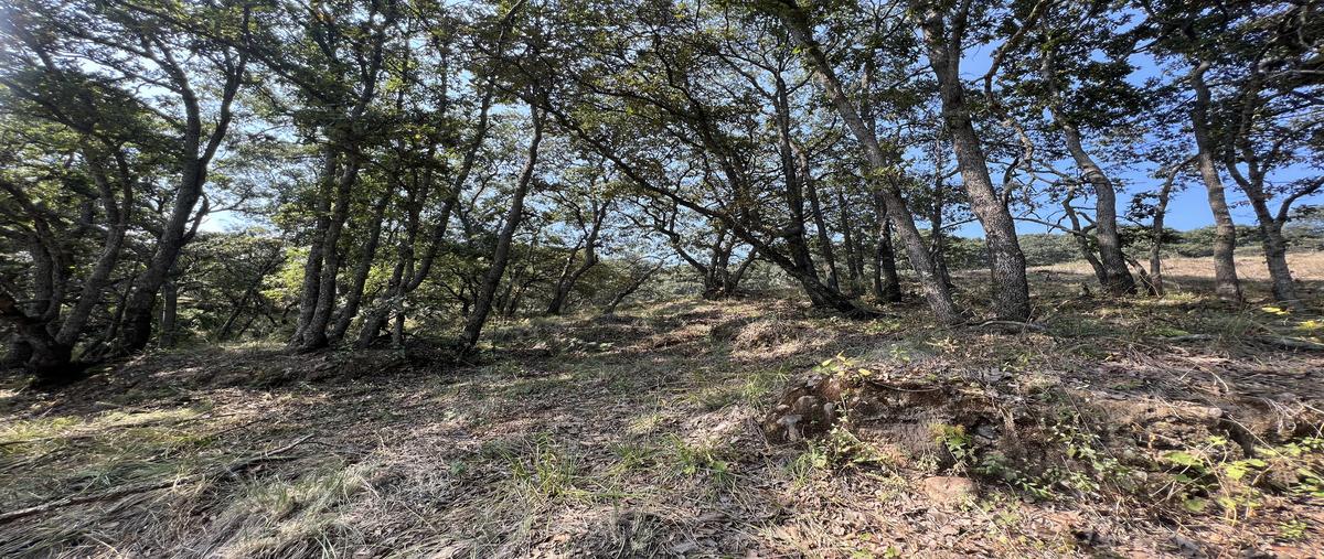 Foto de terreno habitacional en venta en la malagueña , villa del carbón, villa del carbón, méxico, 27747642 No. 04