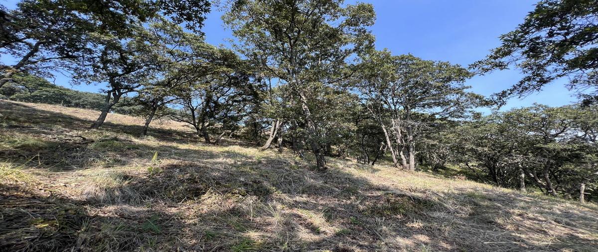 Foto de terreno habitacional en venta en la malagueña , villa del carbón, villa del carbón, méxico, 27747642 No. 05