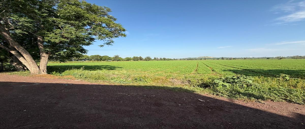 Foto de terreno industrial en venta en la manga , la manga, salamanca, guanajuato, 30295866 No. 04