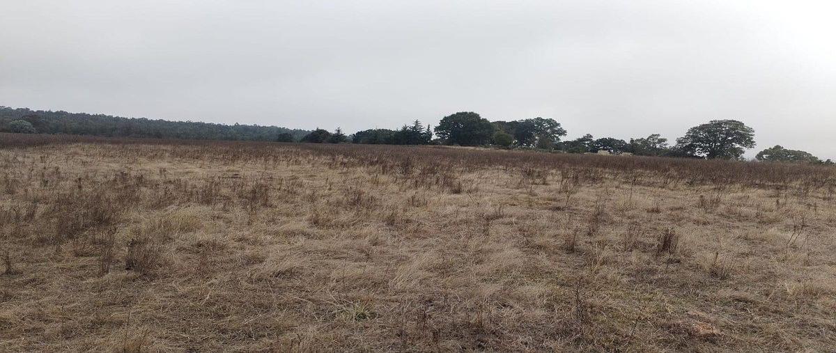 Foto de terreno habitacional en venta en  , la manzana, amealco de bonfil, querétaro, 0 No. 04