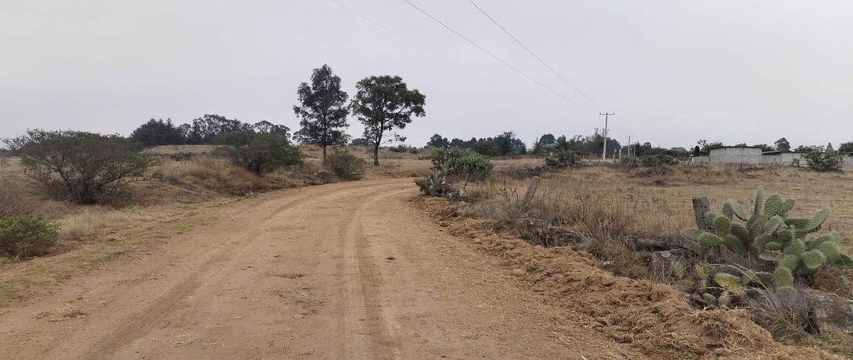 Foto de terreno habitacional en venta en  , la manzana, amealco de bonfil, querétaro, 0 No. 05