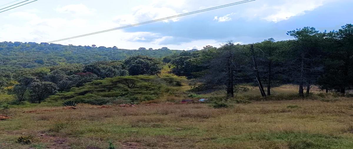 Foto de terreno habitacional en , la manzanilla de la paz, la manzanilla de la paz, jalisco, 0 foto 05 Foto de terreno habitacional en venta en , la manzanilla de la paz, la manzanilla de la paz, jalisco, 0 No. 05