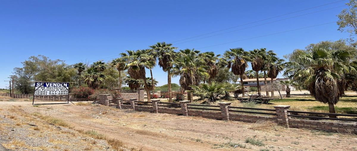 Foto de rancho en , la mariana, mexicali, baja california, 0 foto 02 Foto de rancho en venta en , la mariana, mexicali, baja california, 0 No. 02
