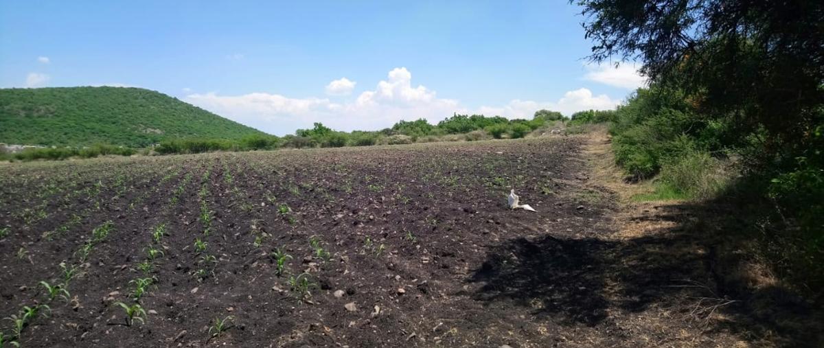 Foto de terreno industrial en venta en la martina , el nabo, querétaro, querétaro, 5567334 No. 05