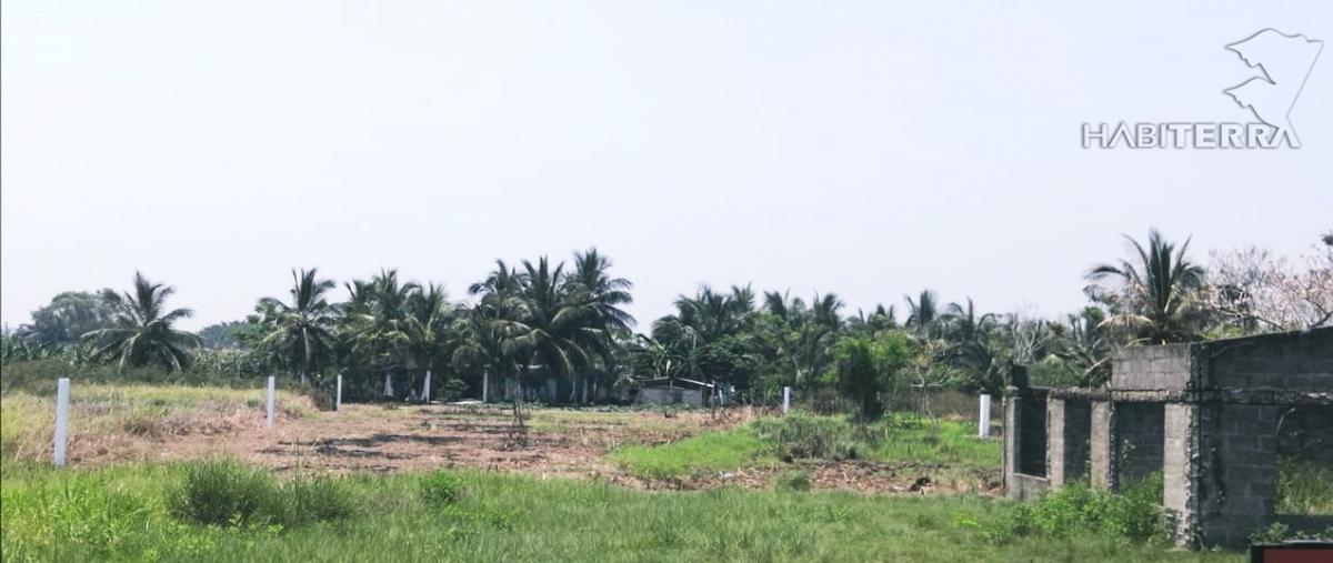 Foto de terreno habitacional en venta en la mata , la mata, tuxpan, veracruz de ignacio de la llave, 0 No. 03