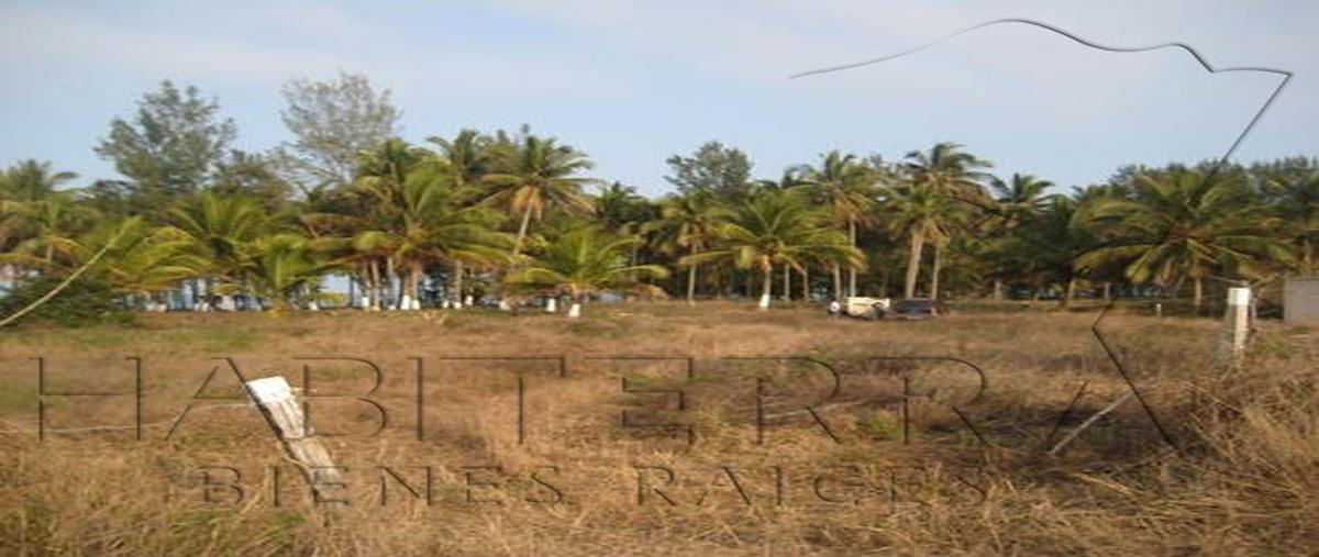Foto de terreno habitacional en , la mata, tuxpan, veracruz de ignacio de la llave, 20548776 foto 01 Foto de terreno habitacional en venta en , la mata, tuxpan, veracruz de ignacio de la llave, 20548776 No. 01