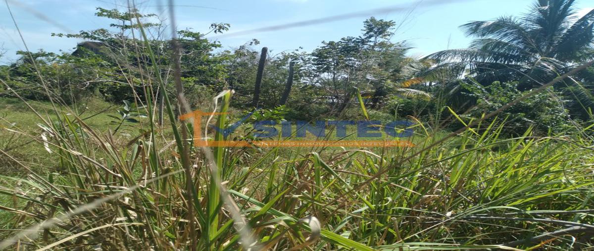 Foto de terreno habitacional en renta en  , la mata, tuxpan, veracruz de ignacio de la llave, 0 No. 03