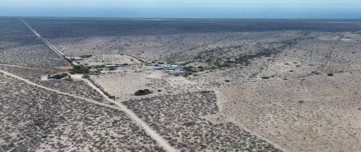 Foto de rancho en venta en  , la matanza, la paz, baja california sur, 29479167 No. 01