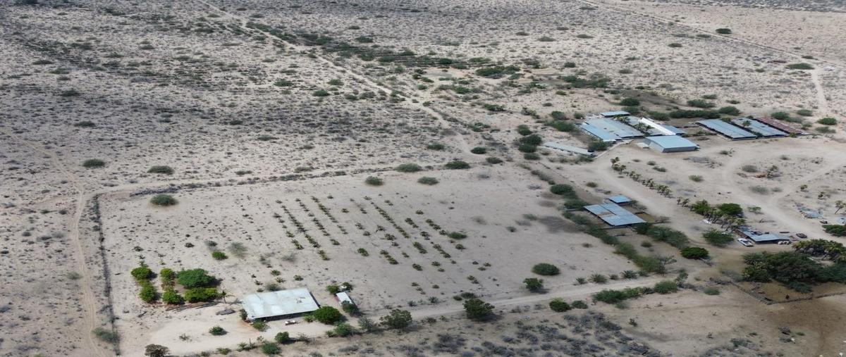 Foto de rancho en venta en  , la matanza, la paz, baja california sur, 29479167 No. 03