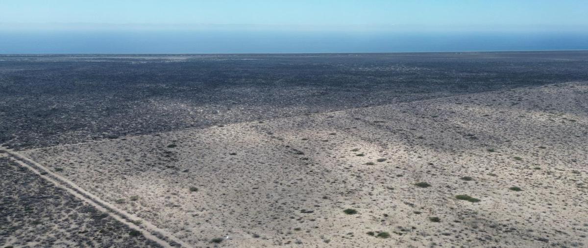 Foto de rancho en venta en  , la matanza, la paz, baja california sur, 29479167 No. 04