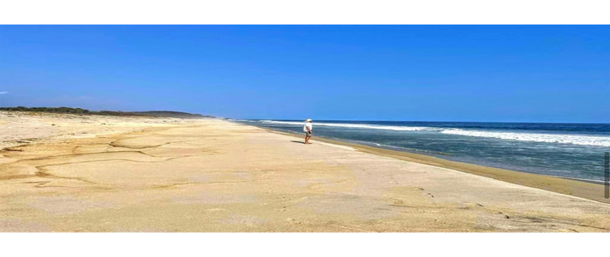 Foto de terreno habitacional en venta en  , la merced del potrero, san miguel del puerto, oaxaca, 0 No. 03