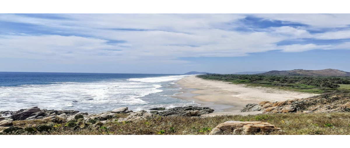 Foto de terreno habitacional en venta en  , la merced del potrero, san miguel del puerto, oaxaca, 0 No. 04