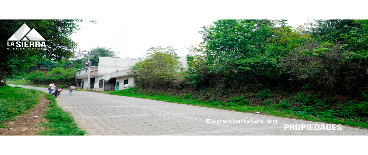 Foto de terreno habitacional en venta en  , la mesita, huauchinango, puebla, 0 No. 05