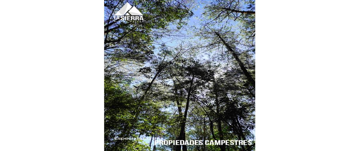 Foto de terreno habitacional en venta en  , la mesita, huauchinango, puebla, 0 No. 04