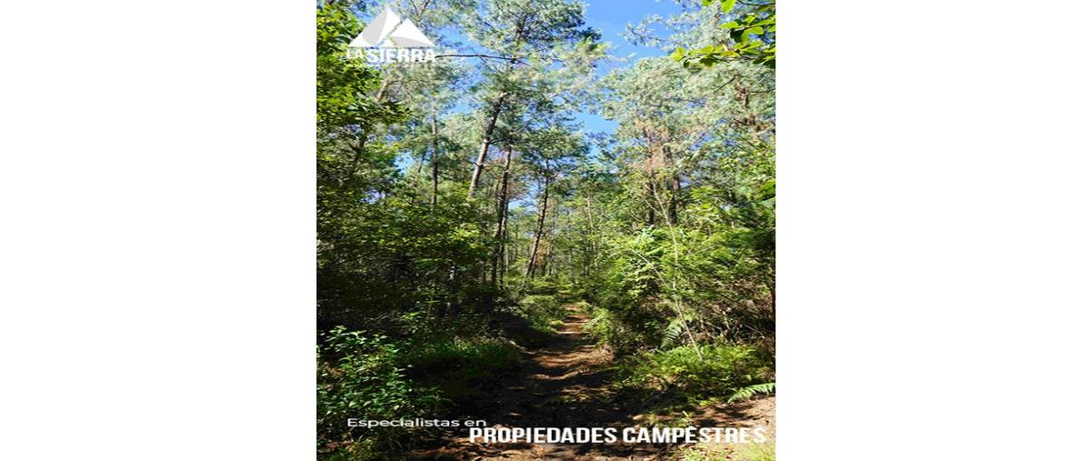 Foto de terreno habitacional en venta en  , la mesita, huauchinango, puebla, 0 No. 05