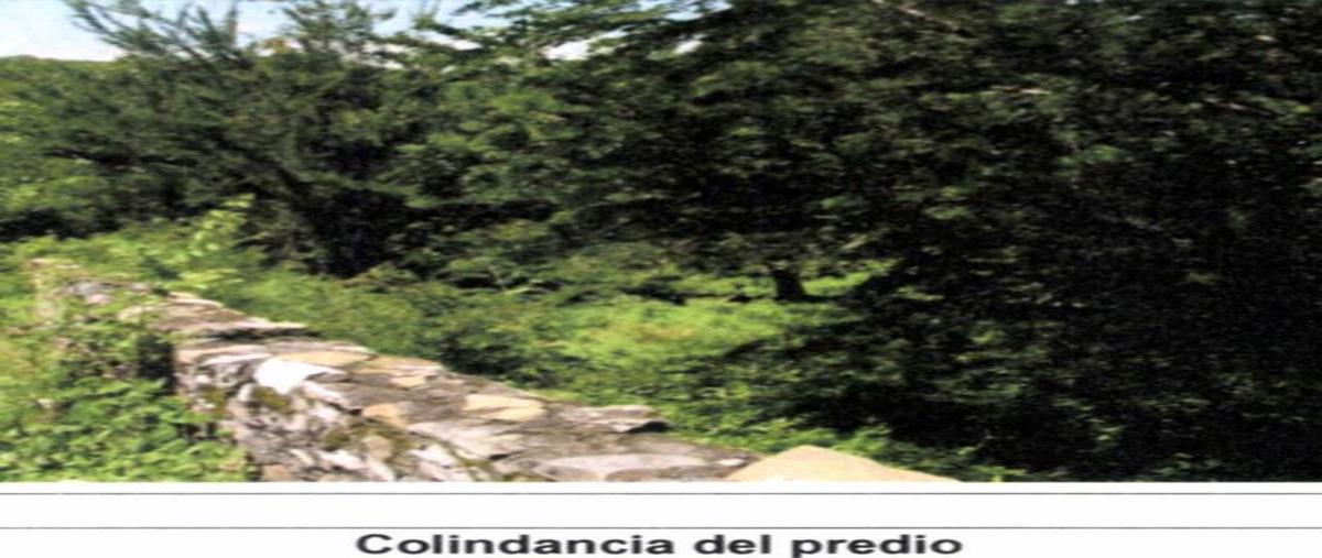 Foto de terreno habitacional en venta en  , la mezquitera, tlaquiltenango, morelos, 26069441 No. 03