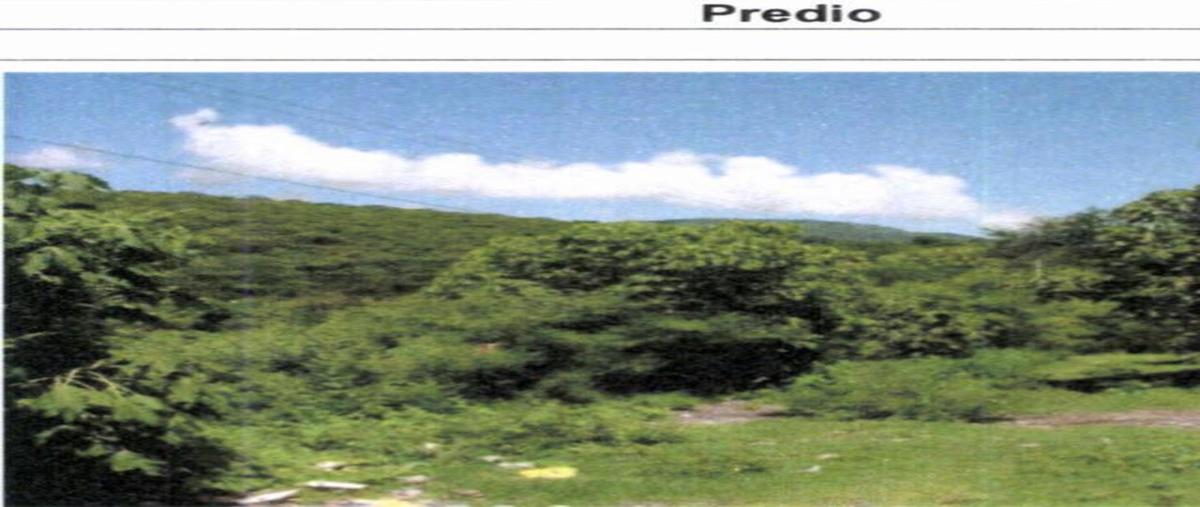 Foto de terreno habitacional en venta en  , la mezquitera, tlaquiltenango, morelos, 26069441 No. 04