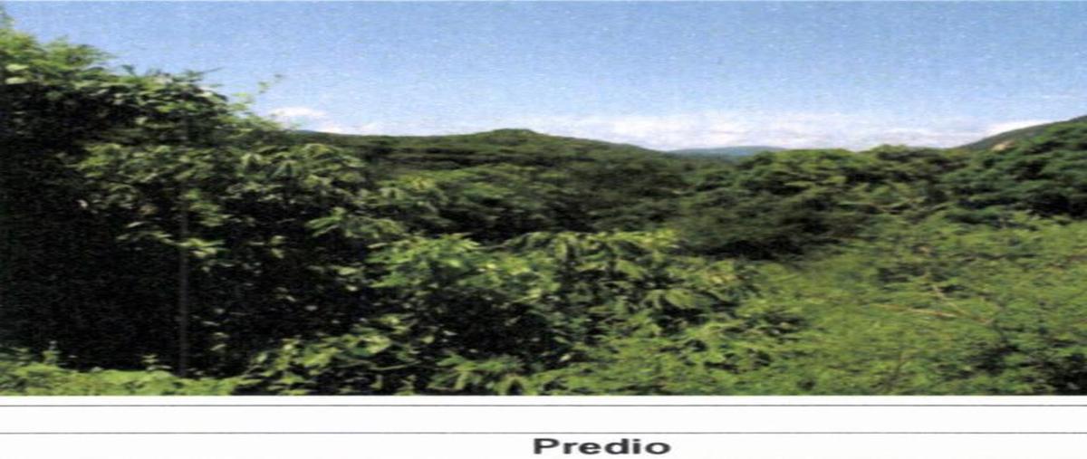 Foto de terreno habitacional en venta en  , la mezquitera, tlaquiltenango, morelos, 26069441 No. 05