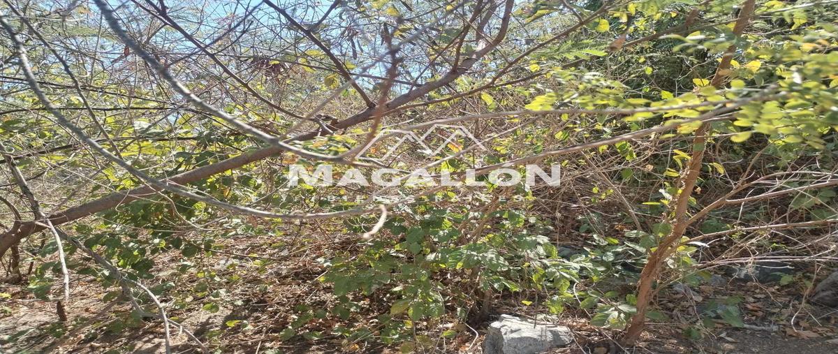 Foto de terreno habitacional en venta en  , la mica, acapulco de juárez, guerrero, 0 No. 05