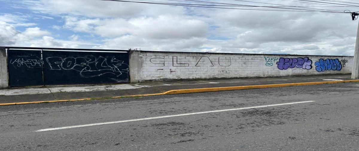 Foto de terreno habitacional en renta en  , la michoacana, metepec, méxico, 30848476 No. 04