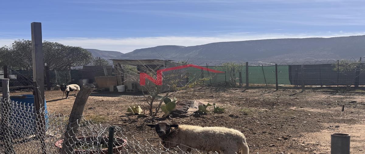 Foto de terreno habitacional en venta en la mision 0, la misión, ensenada, baja california, 0 No. 03