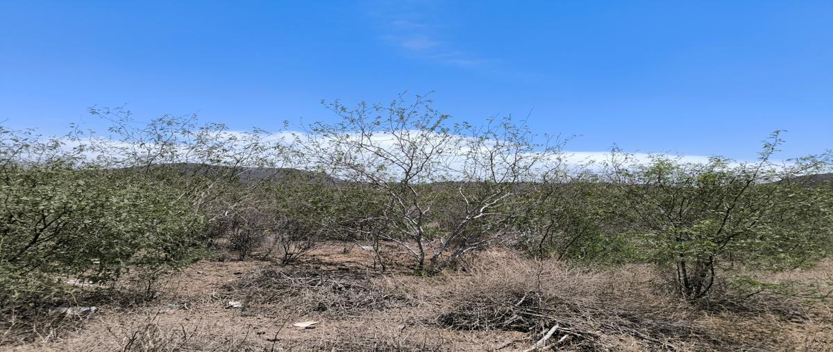 Foto de terreno habitacional en venta en  , la misión nueva, el fuerte, sinaloa, 0 No. 03