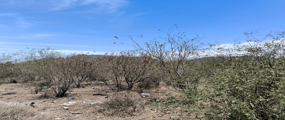 Foto de terreno habitacional en venta en  , la misión nueva, el fuerte, sinaloa, 0 No. 04