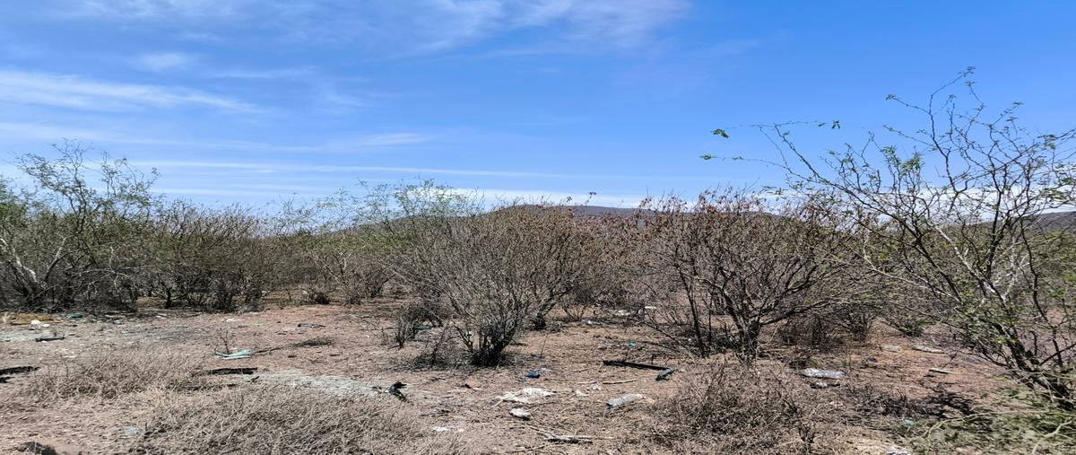 Foto de terreno habitacional en venta en  , la misión nueva, el fuerte, sinaloa, 0 No. 05