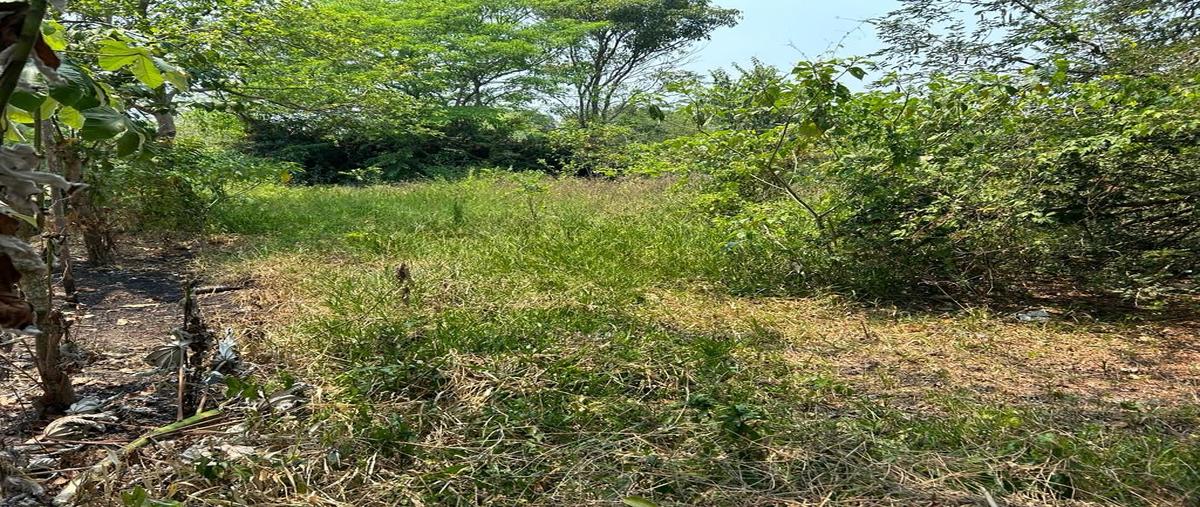 Foto de terreno habitacional en la mojina , la palma, centro, tabasco, 25998964 foto 04 Foto de terreno habitacional en venta en la mojina , la palma, centro, tabasco, 25998964 No. 04