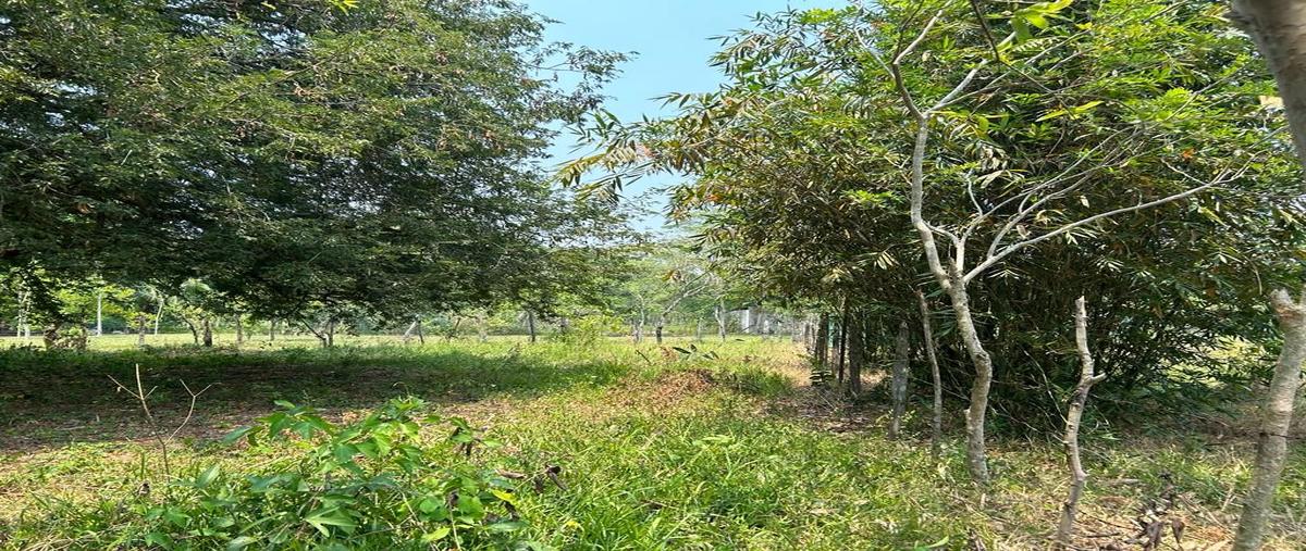 Foto de terreno habitacional en la mojina , la palma, centro, tabasco, 25998964 foto 05 Foto de terreno habitacional en venta en la mojina , la palma, centro, tabasco, 25998964 No. 05