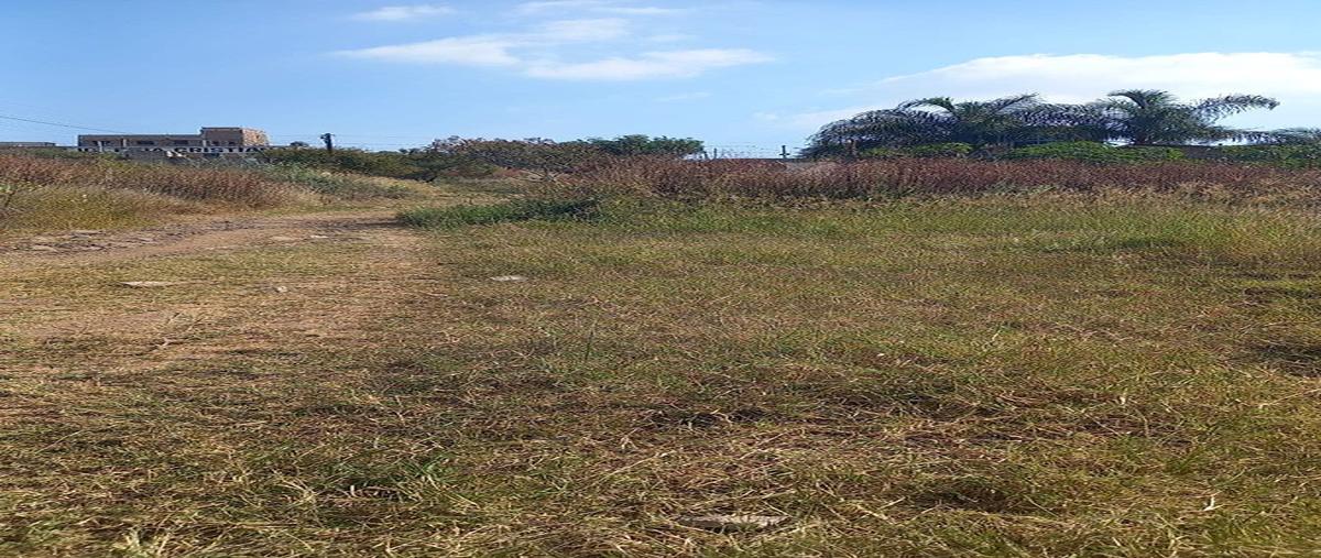 Foto de terreno habitacional en venta en la montaña , el zalate, el salto, jalisco, 0 No. 04