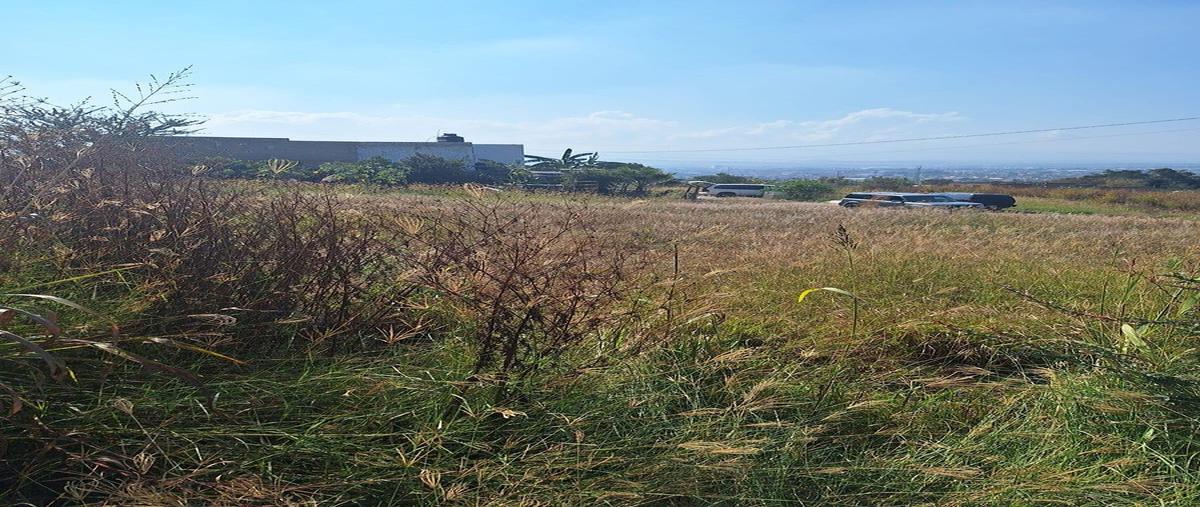 Foto de terreno habitacional en venta en la montaña , el zalate, el salto, jalisco, 0 No. 05