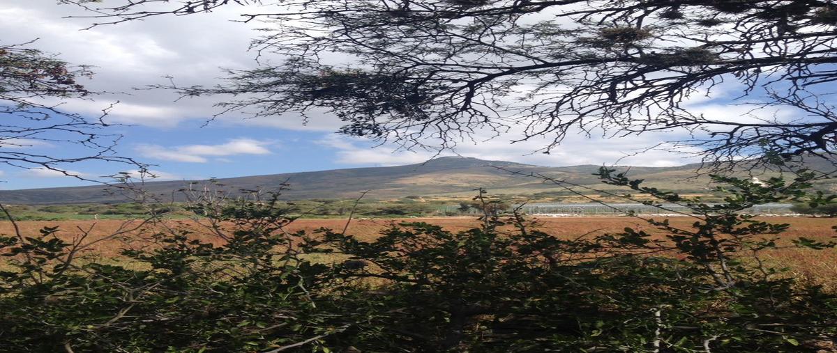 Foto de terreno habitacional en venta en  , la montaña, silao de la victoria, guanajuato, 27316737 No. 03