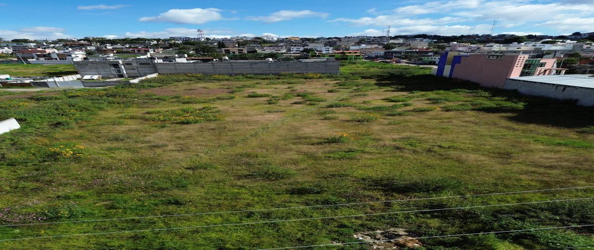 Foto de terreno habitacional en venta en  , la mora, atlacomulco, méxico, 0 No. 05