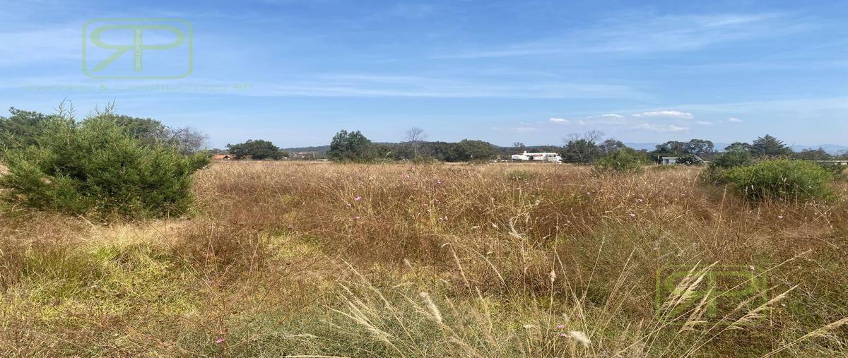 Foto de terreno habitacional en venta en  , la mora, huasca de ocampo, hidalgo, 29820408 No. 03