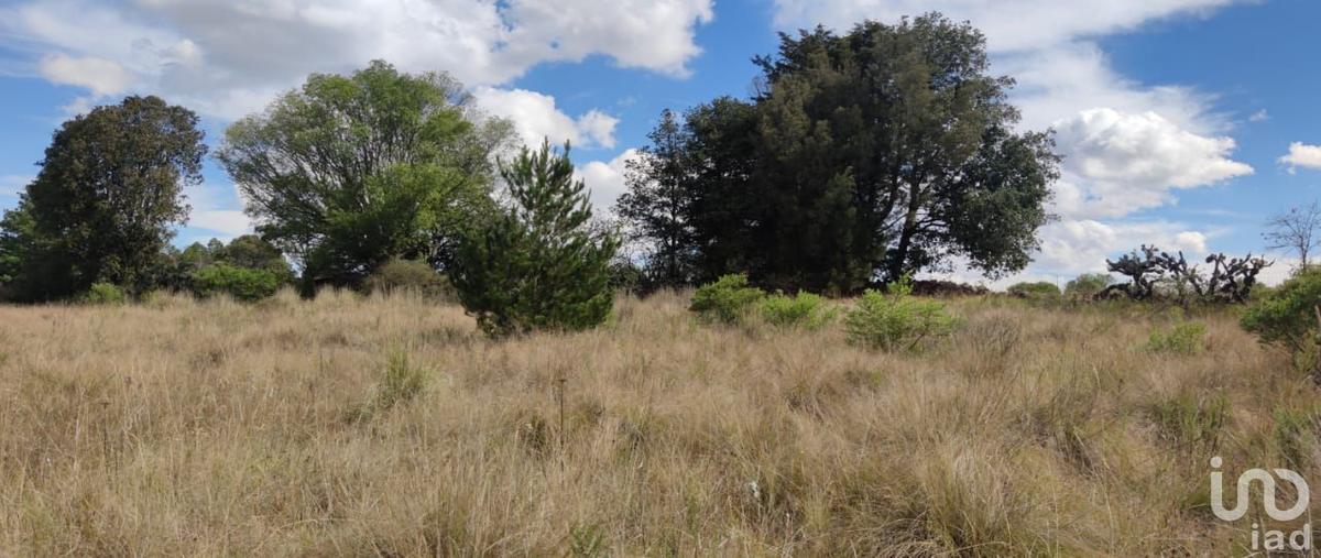 Foto de terreno habitacional en venta en la mora , la mora, amealco de bonfil, querétaro, 0 No. 05