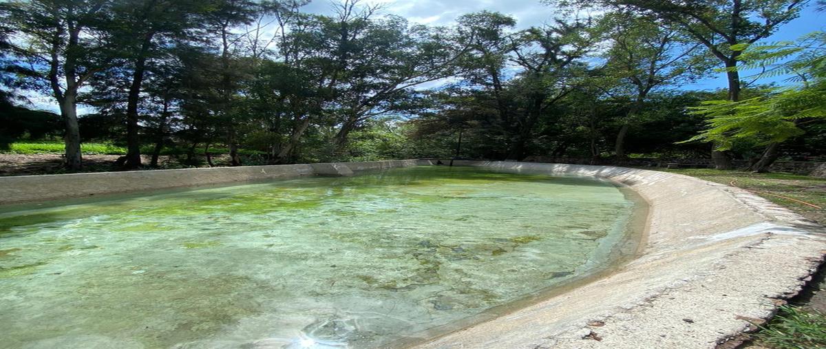 Foto de terreno habitacional en venta en  , la mora, león, guanajuato, 0 No. 05