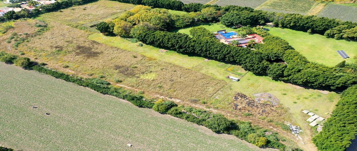 Foto de terreno habitacional en venta en  , la moraleda, atlixco, puebla, 0 No. 05