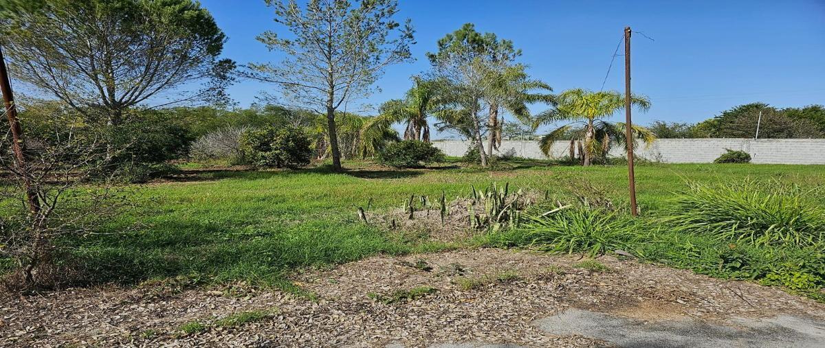 Foto de terreno habitacional en venta en la morita , infonavit 1er sector, montemorelos, nuevo león, 27821846 No. 05