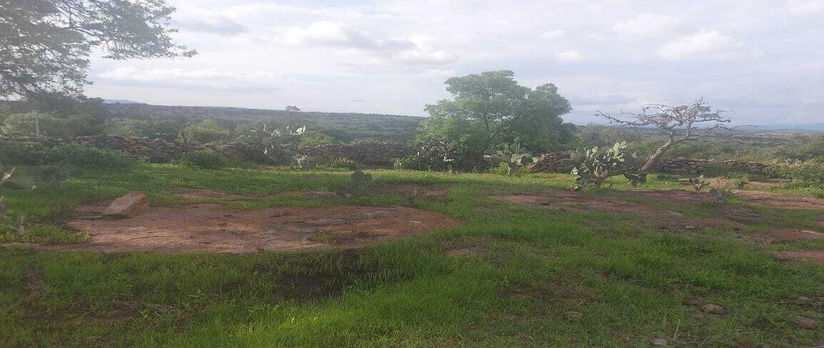 Foto de terreno habitacional en venta en  , la muralla, amealco de bonfil, querétaro, 0 No. 05