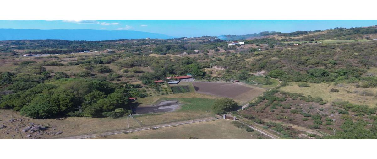 Foto de rancho en venta en  , la nogalera, comala, colima, 0 No. 05
