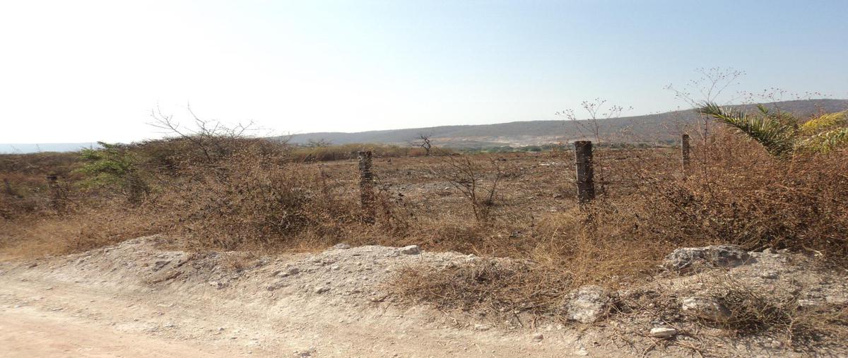 Foto de terreno habitacional en venta en  , la nopalera, yautepec, morelos, 0 No. 03