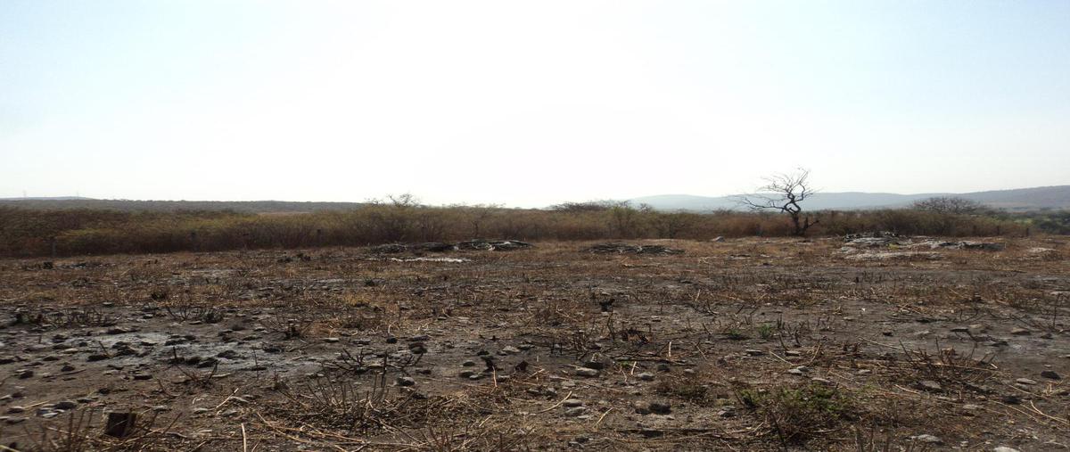 Foto de terreno habitacional en venta en  , la nopalera, yautepec, morelos, 0 No. 05
