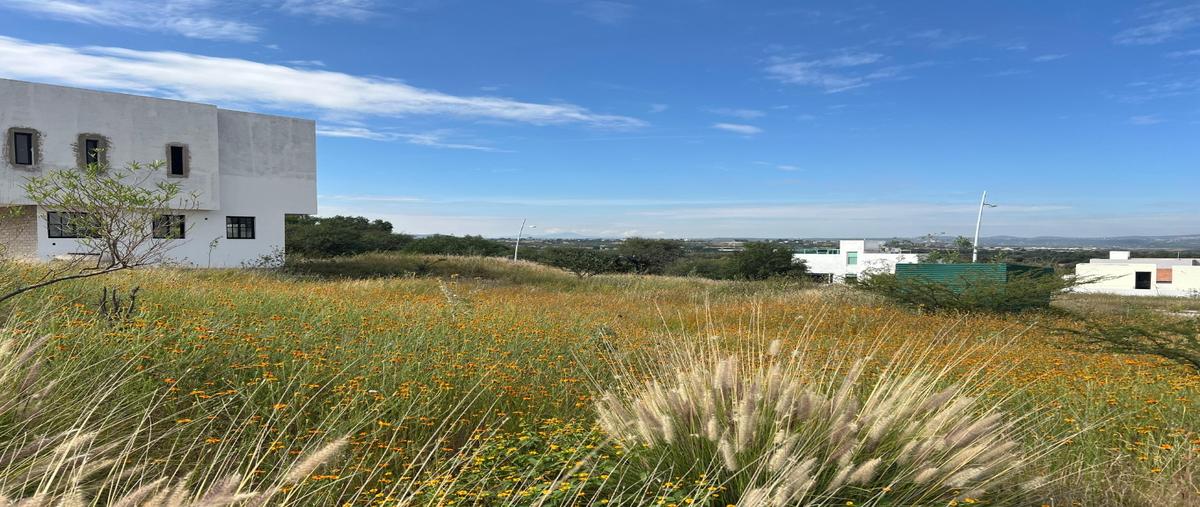 Foto de terreno habitacional en venta en  , la noria, huimilpan, querétaro, 28713984 No. 05