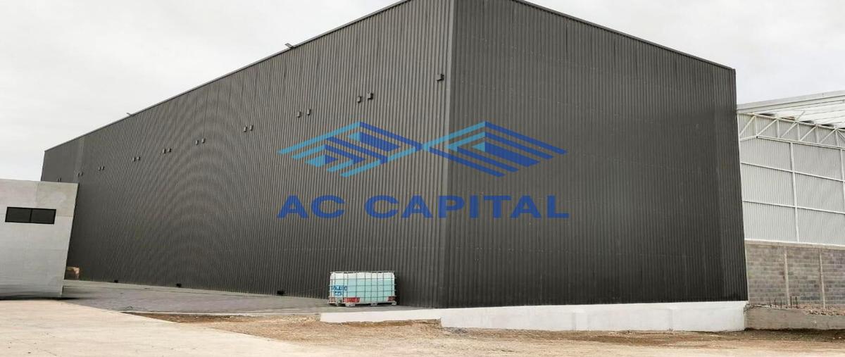 Foto de nave industrial en renta en  , la norita, apaseo el grande, guanajuato, 30457111 No. 04