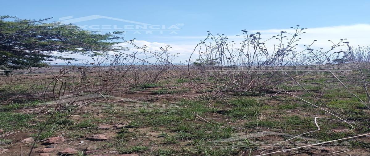 Foto de terreno habitacional en venta en  , la nueva aldea ii, morelia, michoacán de ocampo, 26561333 No. 03