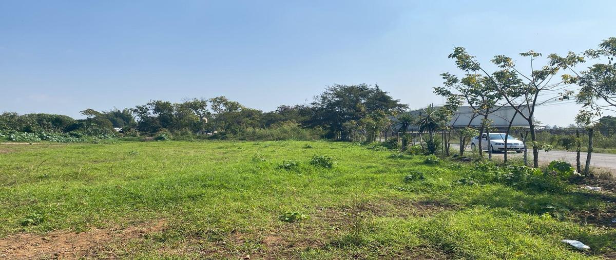 Foto de terreno habitacional en , la orduña, coatepec, veracruz de ignacio de la llave, 30928470 foto 03 Foto de terreno habitacional en renta en , la orduña, coatepec, veracruz de ignacio de la llave, 30928470 No. 03